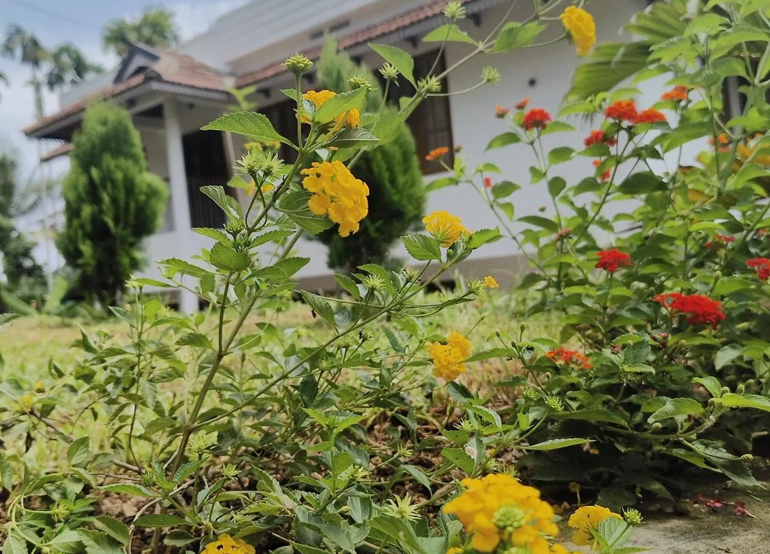 Ananda Holiday Home Ambalavayal 0*,