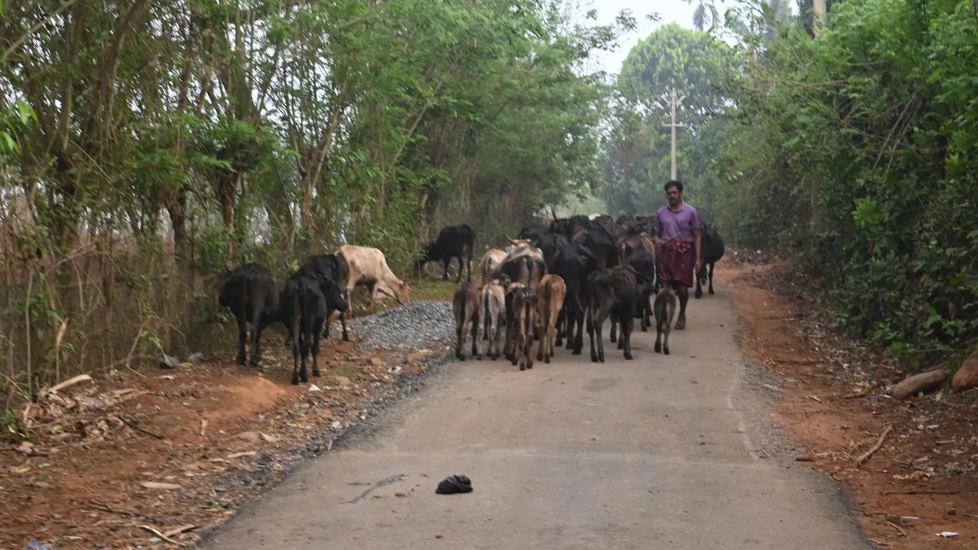 Homestay Ananda Holiday Home Ambalavayal India