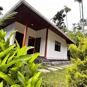 Cave Valley Wayanad Guest house